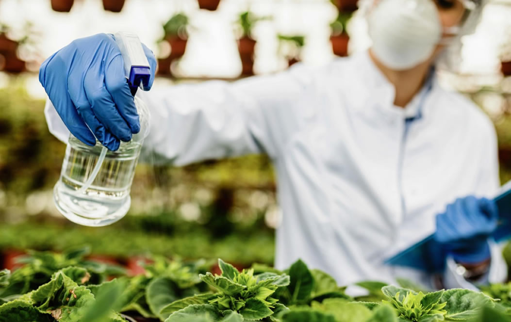 Gübre ve Tarım Kimyasalları Fabrikaları İçin Forklift Hizmetleri